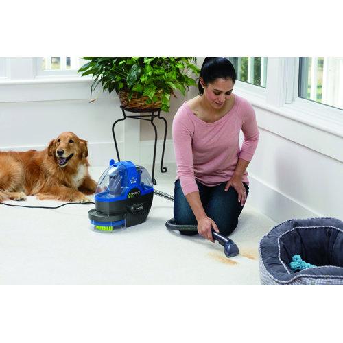 Bissell SpotBot® Pet Portable Carpet Cleaner & Reviews Wayfair